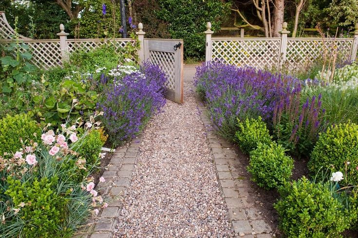 Перовския в ландшафтном дизайне фото Garden fence ideas that are practical and look great too Traditional garden, Gar