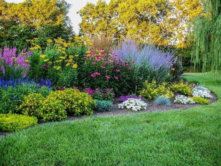 Перовския в ландшафтном дизайне фото Русский шалфей Sage garden, Flower garden, Garden design