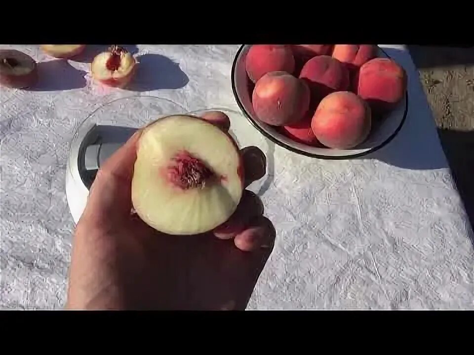 Персик алиросада описание сорта фото отзывы Персик Алиросада. Урожай 2020г. Беломясый сорт. Видеообзор. Сортоман Сад. Отзывы
