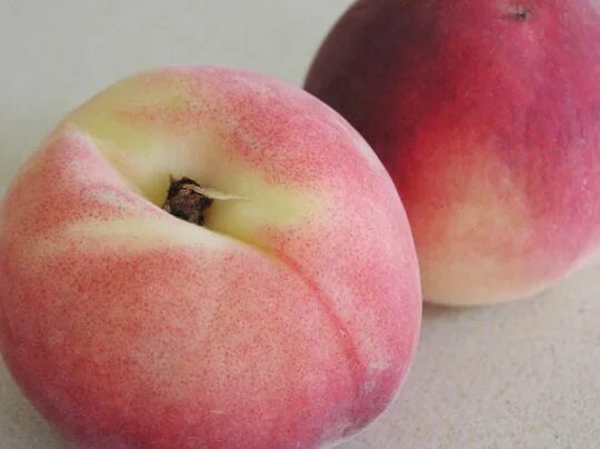 Персик айс пич описание сорта фото отзывы What’s the Difference? White and Yellow Peaches Peach, Perfect peach, Family fav