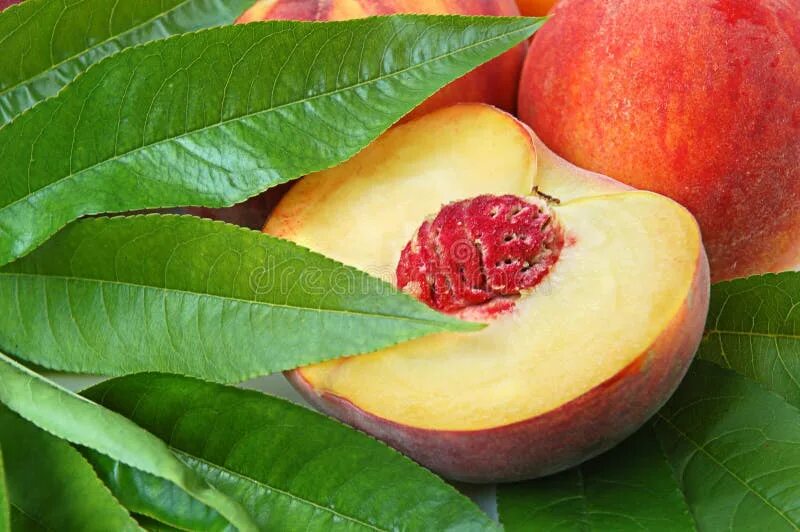 Персик фото Peaches stock image. Image of slice, ripe, peach, food - 11594269