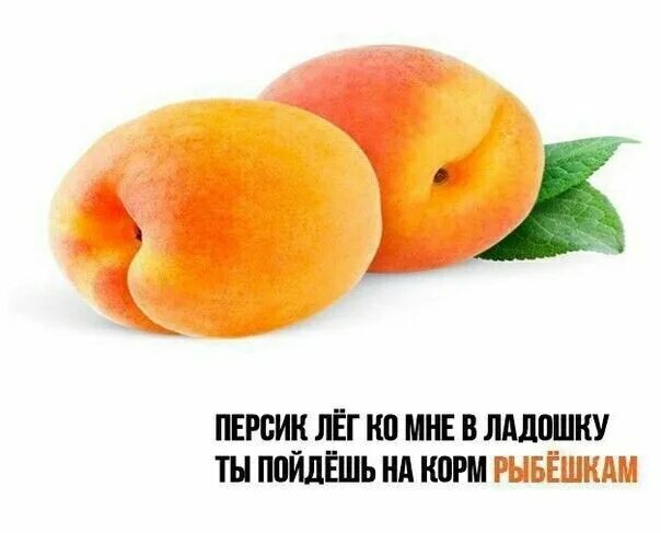 Персик фото прикол На случай важных переговоров Fruit, Food, Apricot