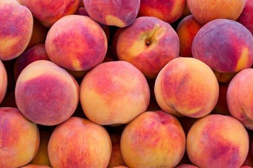 Персик горячие фото Lessons Learned: Just Peachy Peach wine, Wine recipes, Peach