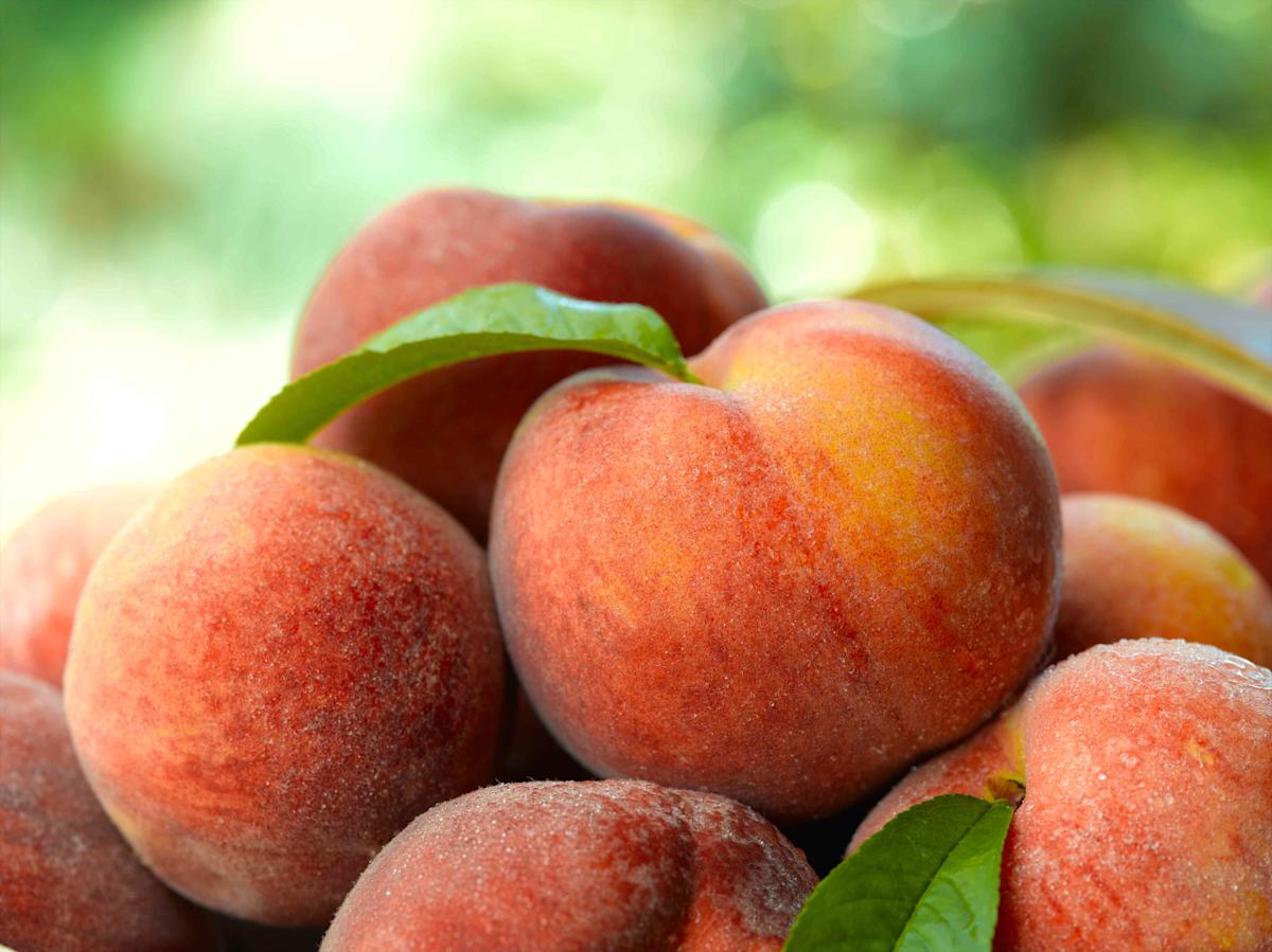 Персик горячие фото How To Store Peaches, According to Georgia Peach Experts