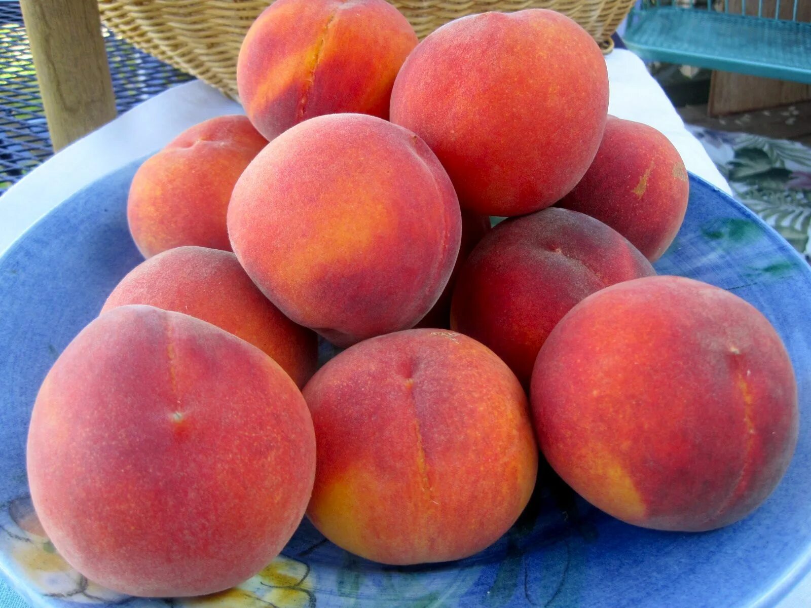 Персик харбингер описание сорта фото Sweet As a Peach Pie Peach pie, Peach, Pies art