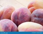Персик и ракушка у девушек фото разница Как определить персик щавель ракушка у девушки Shtampik.com