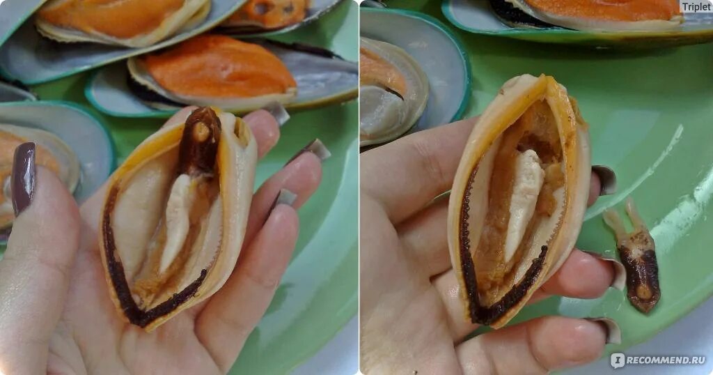 Персик и щавель у девочек фото Морепродукты Sanford Мидии "Гигант Киви" Greenshell Mussels New Zealand - "Корол