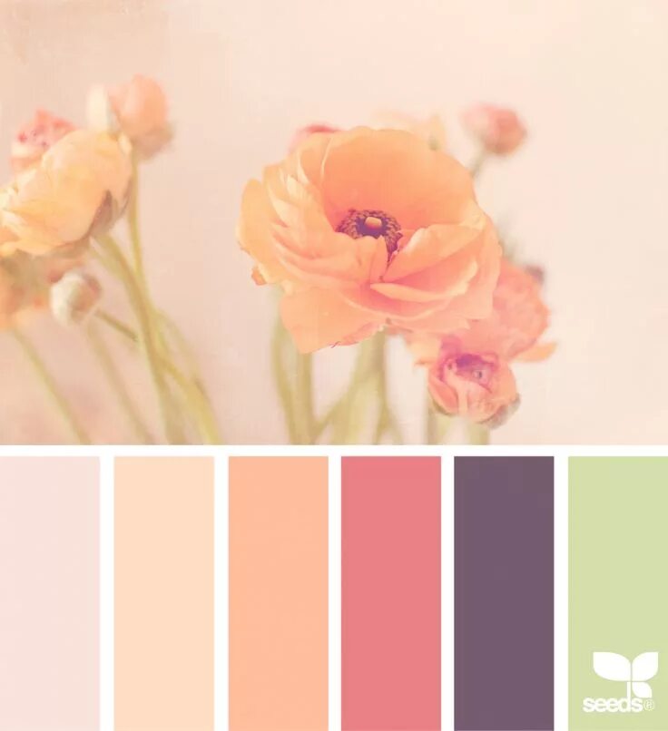 Персик сочетание цветов в интерьере Flora Tones Seeds color, Design seeds color palette, Seeds color palette
