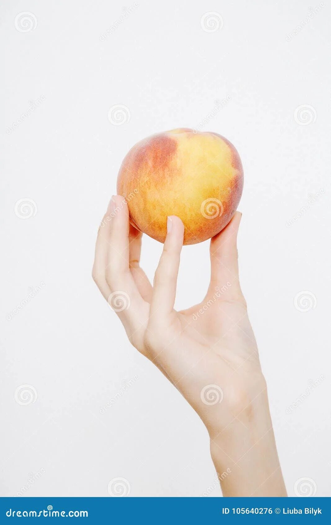 Персик в руке фото The Girl Holds the Peach. Young Woman Holds Peach in Her Hands Stock Photo - Ima