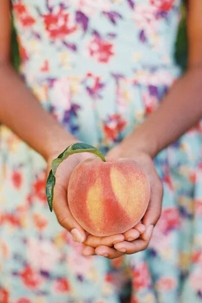 Персик в руке фото V6: Preserving the Good Stuff Eat a peach, Peach