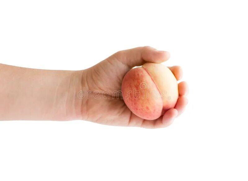 Персик в руке фото A peach in his hand. stock photo. Image of peaches, color - 126566474