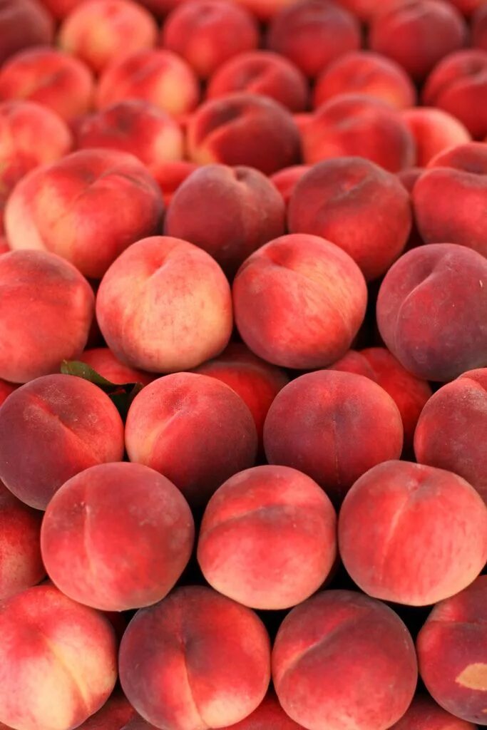 Персики фото и описание Peaches Aesthetic food, Fruit, Peach