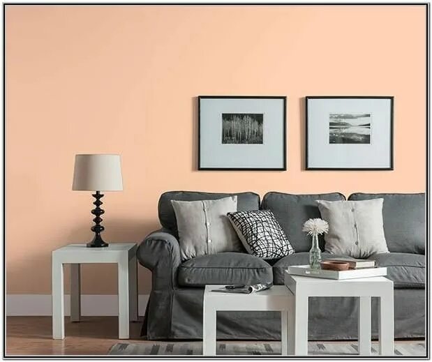 Персиковый и серый сочетание в интерьере Elegant Peach Wall Living Room Decor