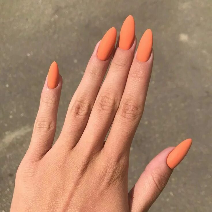 Персиковый маникюр 2024 на миндаль Pin by Barbara Nicole Diaz Moraga on Ноготочки блин Halloween nails diy, Diy nai