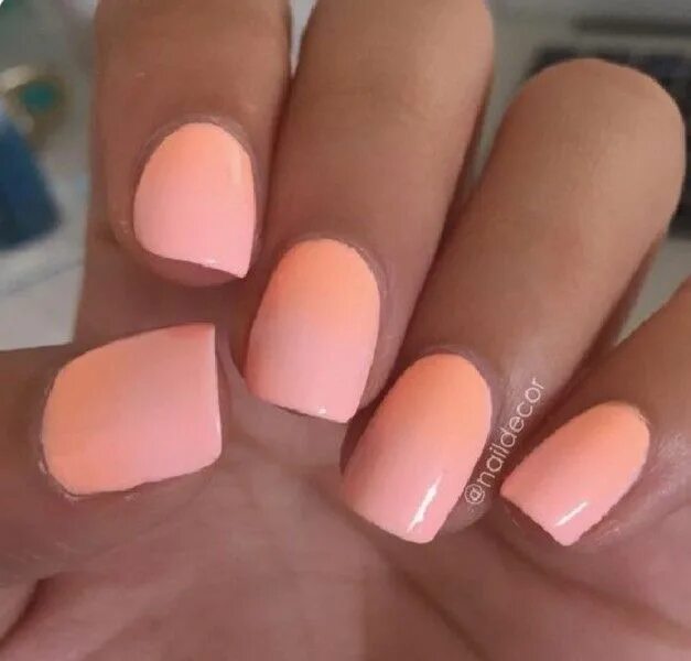 Персиковый маникюр на коротких ногтях фото Pin auf Makeup and nails Pfirsich nägel, Nagellackfarbe, Sommernägel