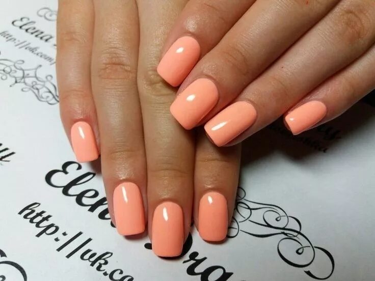 Персиковый маникюр на квадратные ногти 2024 Cute Nail Color 2019 11 - vattire.com Cute nail colors, Cute nails, Nail polish 