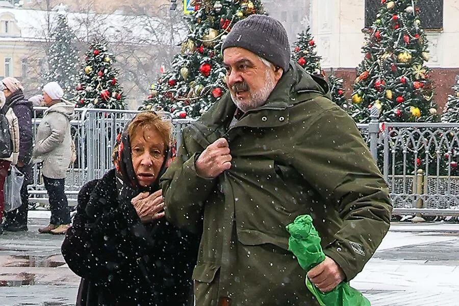 Персиянинов владимир муж ахеджаковой фото Лия Ахеджакова биография, фото, карьера, личная жизнь