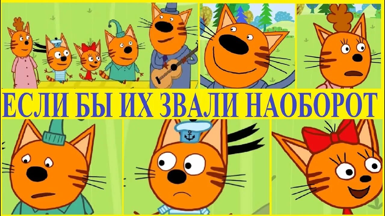 Персонажи три кота все имена с фото Три кота Из серии Пикник - YouTube
