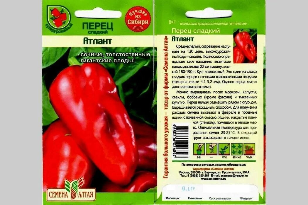 Перцы фото описание Сорта острого перца: для открытого и закрытого грунта с описанием и фото