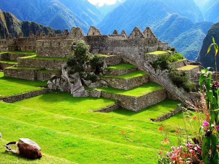 Перу дома фото Machu Picchu Peru Machu picchu, Machu, Picchu