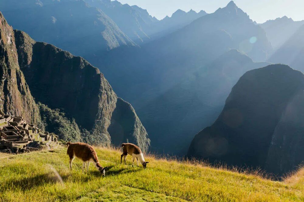 Перу фото природы Luxury Machu Pichu by train in Peru Times of India Travel