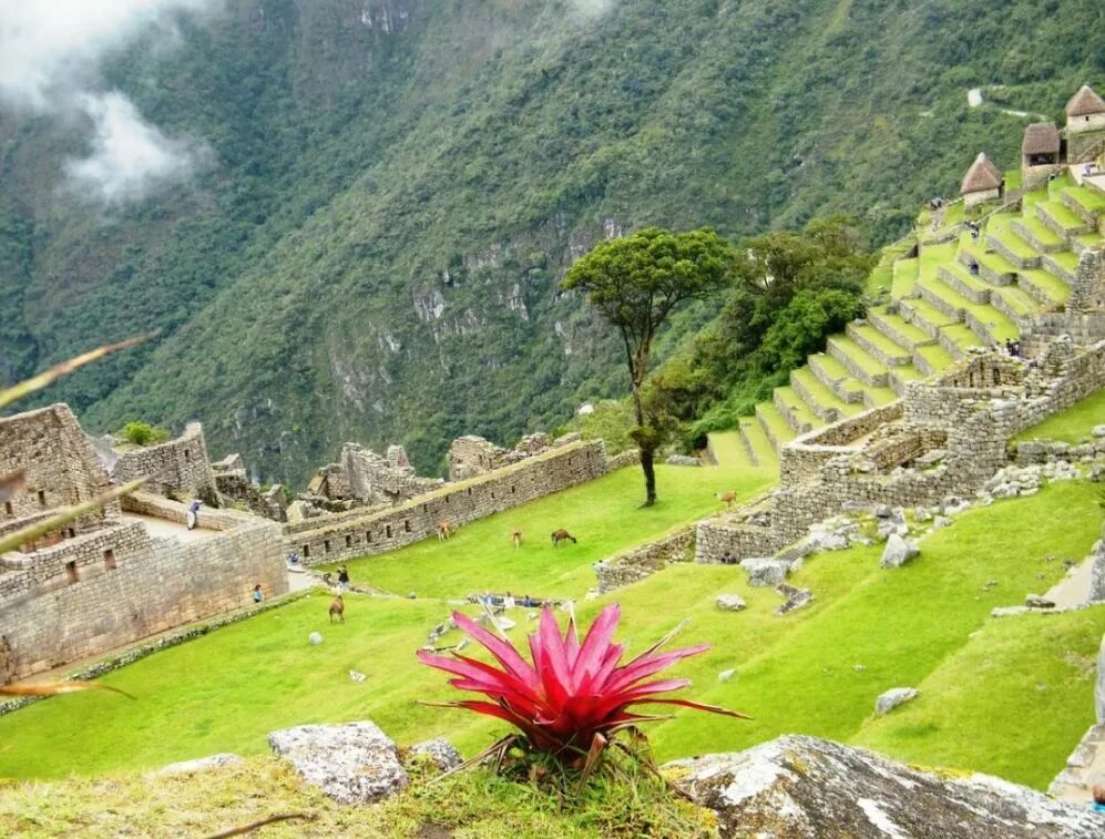 Перу красивые фото The competition "Through the country of the Incas with AM Group" continues Event