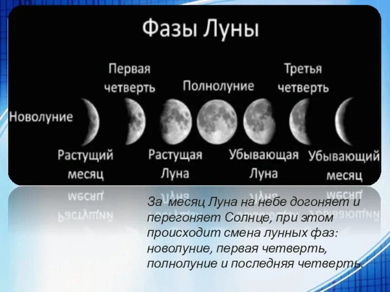 Первая четверть луны фото Продолжительность смены фаз луны: найдено 90 картинок