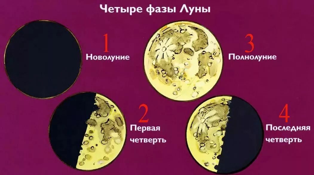Первая четверть луны фото Урок 4: Движение Луны - 100urokov.ru