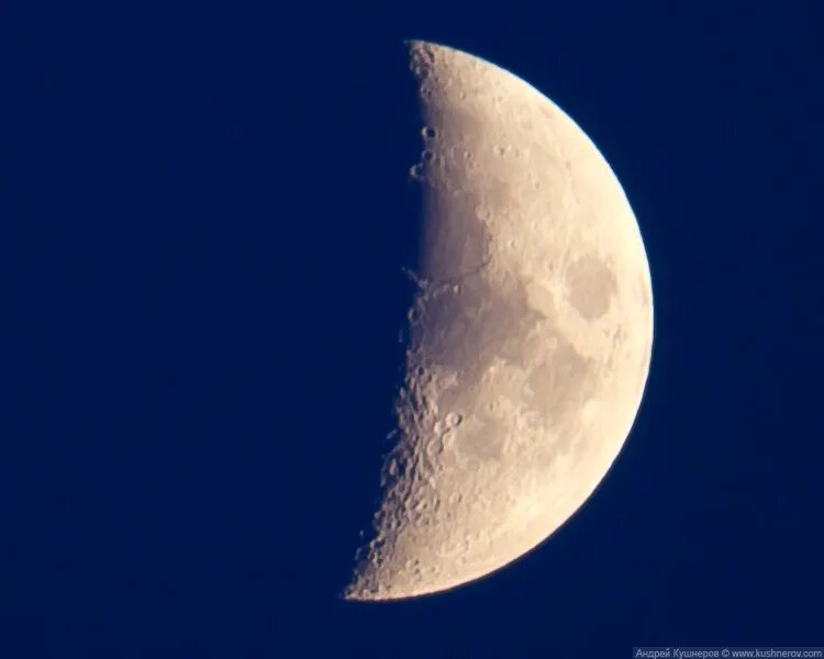 Первая четверть луны фото Canon 550D Kushnerov.com Иллюстрированный блог