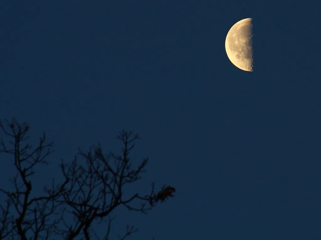 Первая четверть луны фото The Moon Flickr