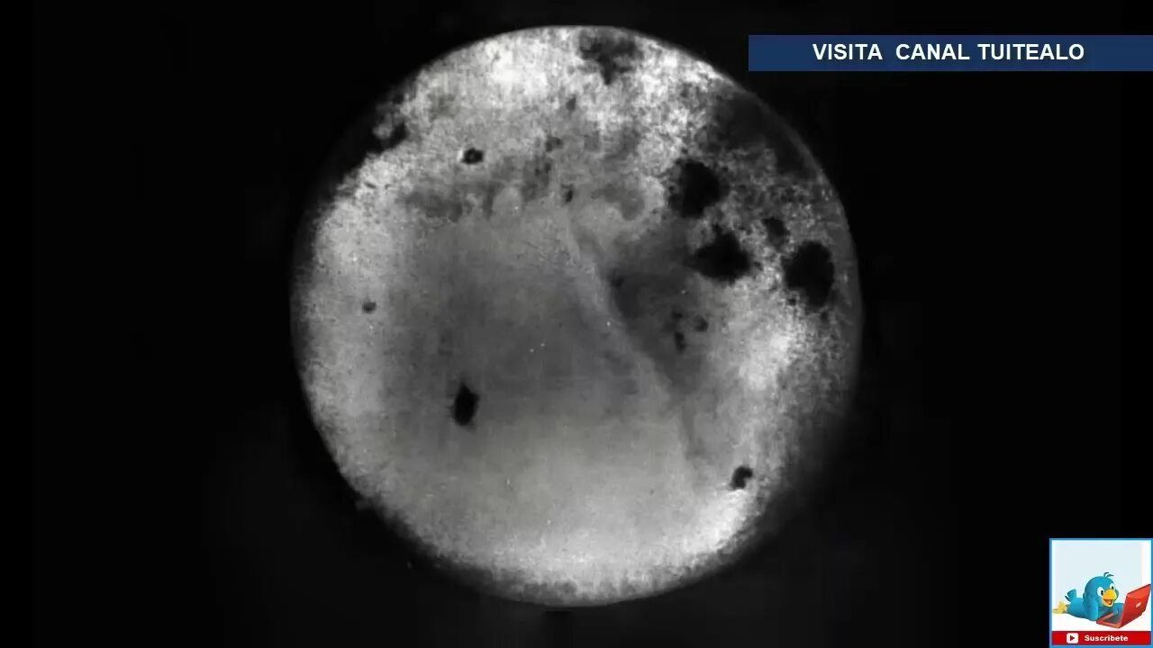 Первая фото обратной стороны луны Revelan nuevas fotografías inéditas del lado oscuro de la Luna - YouTube