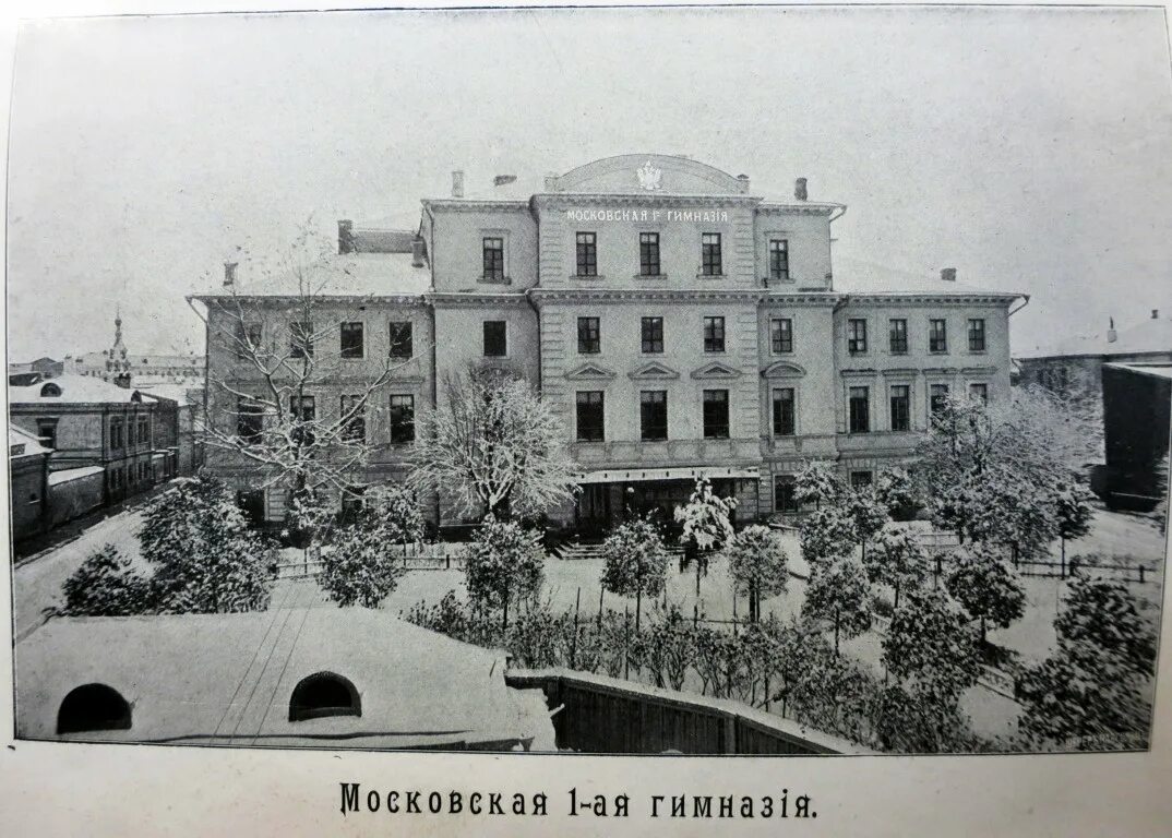 Первая московская гимназия фото Князья с Волхонки: Как семья экс-министра СССР поддерживает Украину, а зарабатыв