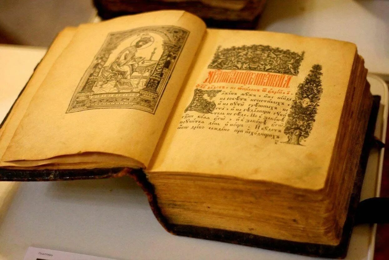 Первая печатная книга в россии фото Библиотечный урок "Ее Величество Книга" 2023, Зверево - дата и место проведения,