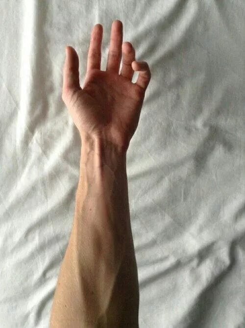 Первая рука фото Pin by морт. on hands * Arm veins, Male hands, Hand veins