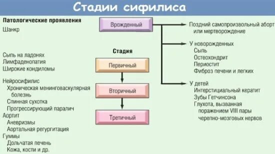 Первая стадия сифилиса фото Стадии сифилиса: их проявление и лечение в зависимости от периода