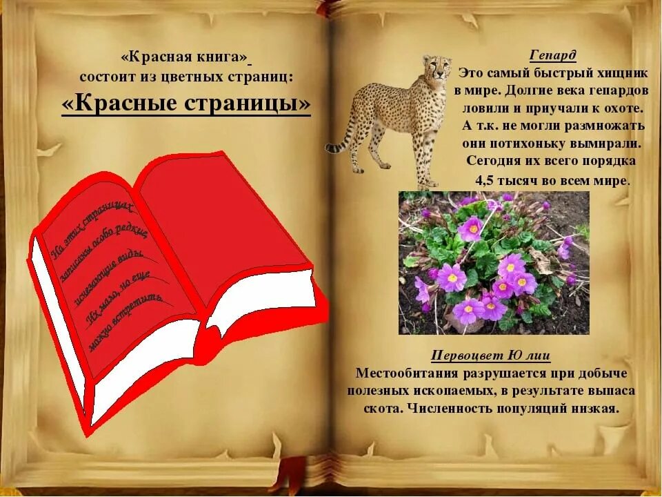 Первая страница красной книги фото По страницам Красной книги" 2020, Кантемировский район - дата и место проведения