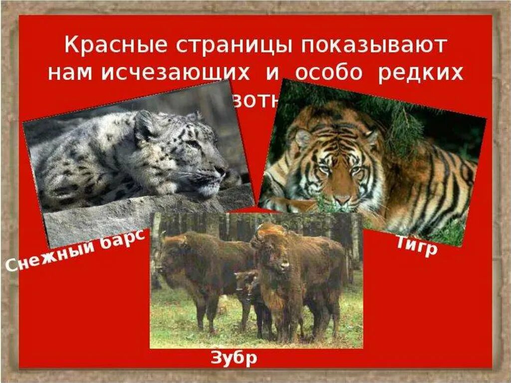 Первая страница красной книги фото Знакомим дошкольников с Красной книгой - презентация онлайн