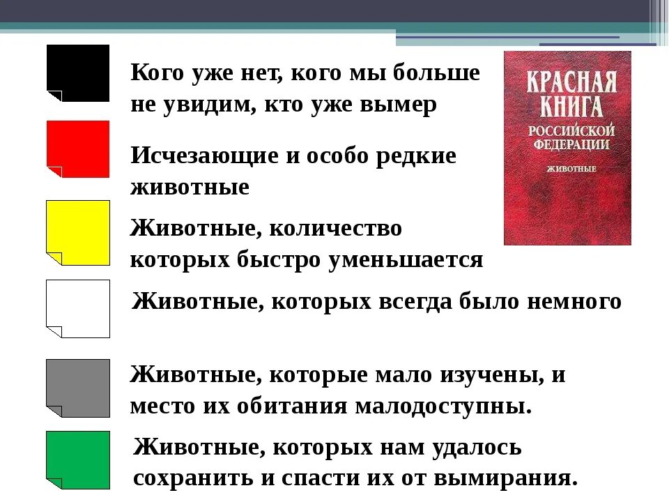 Первая страница красной книги фото Желтые страницы красной книги растения список фото - PwCalc.ru