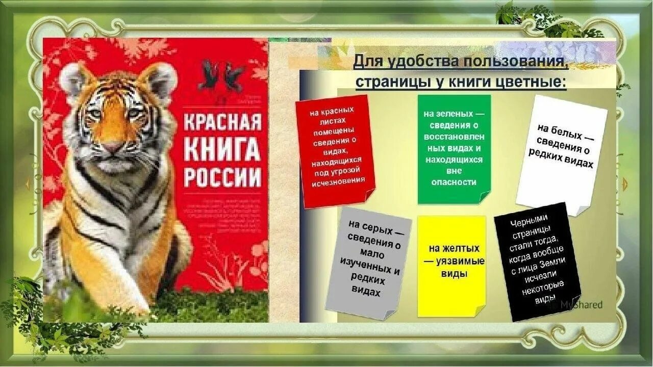 Первая страница красной книги фото Заглянем в Красную Книгу" 2023, Нижнедевицкий район - дата и место проведения, п