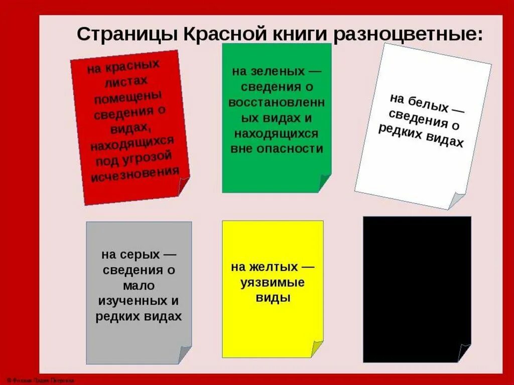 Первая страница красной книги фото Проект по окружающему миру "Красная книга России" 2 класс