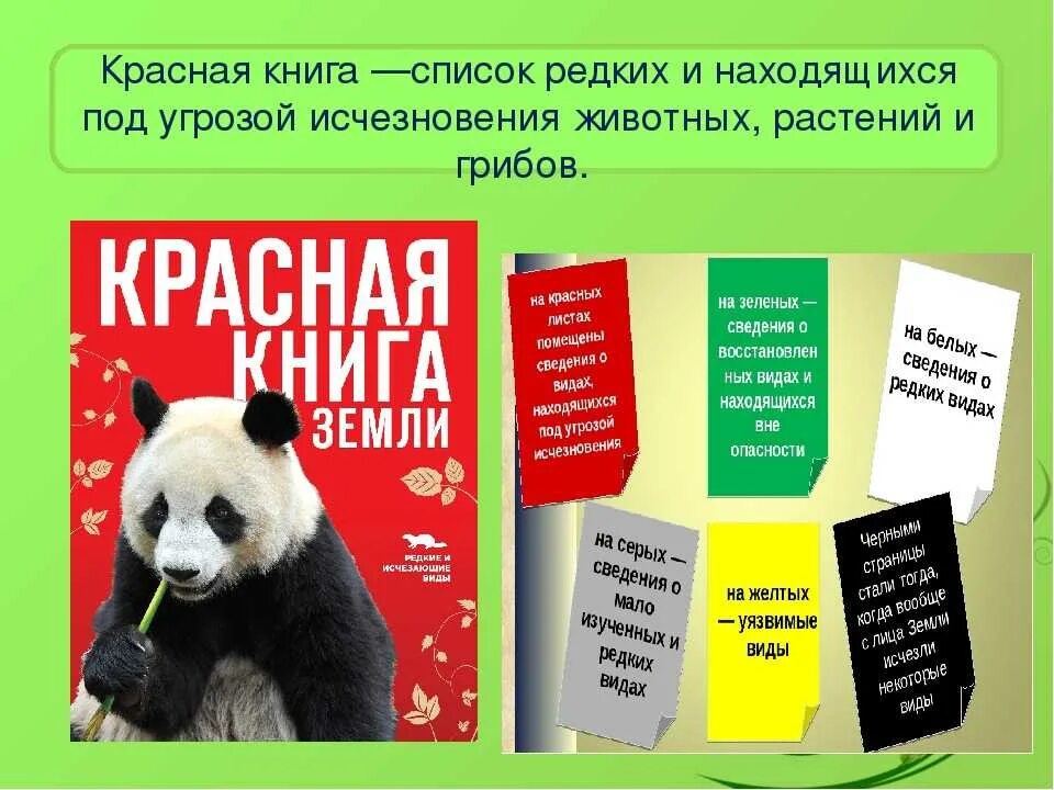 Первая страница красной книги фото Картинки ЧТО ОБОЗНАЧАЮТ ЦВЕТА СТРАНИЦ В КРАСНОЙ КНИГЕ