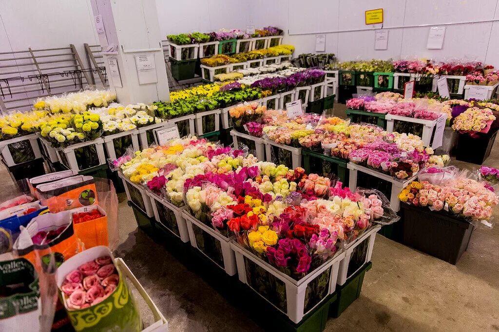 Первая цветочная база областная ул 5 фото Больше не работает: Ruskus Flowers, доставка цветов и букетов, Москва, Кавказски