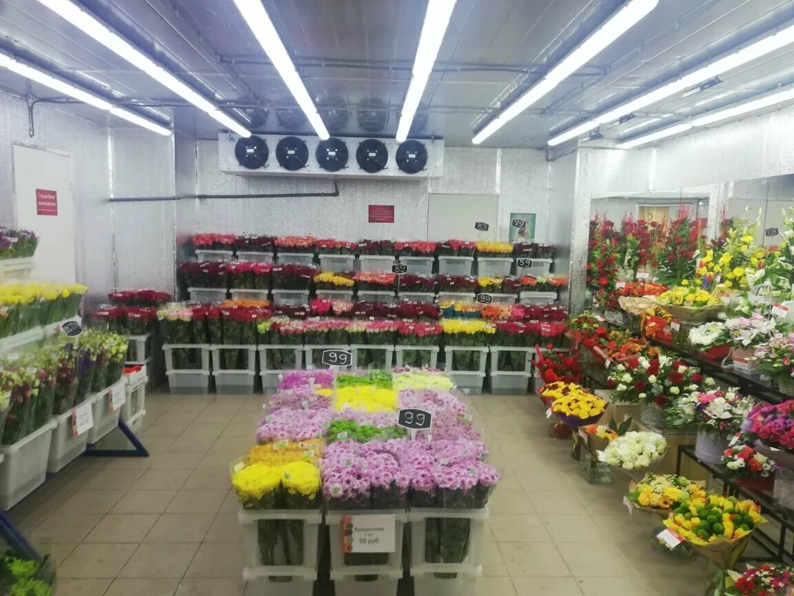 Первая цветочная база областная ул 5 фото Фото: СоюзЦветТорг, магазин цветов, Привольная ул., 65/32, Москва, Россия - Янде