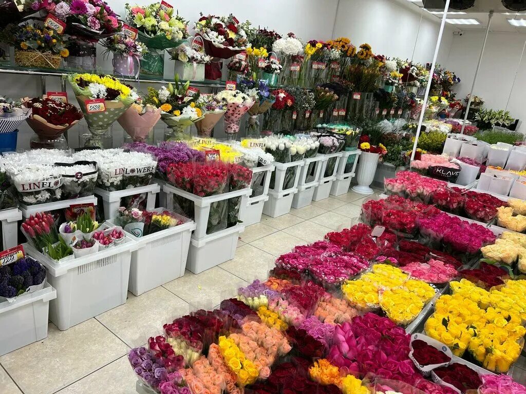 Первая цветочная база областная ул 5 фото База цветов, flower shop, Moscow, Vnukovskoye Settlement, Korneya Chukovskogo St