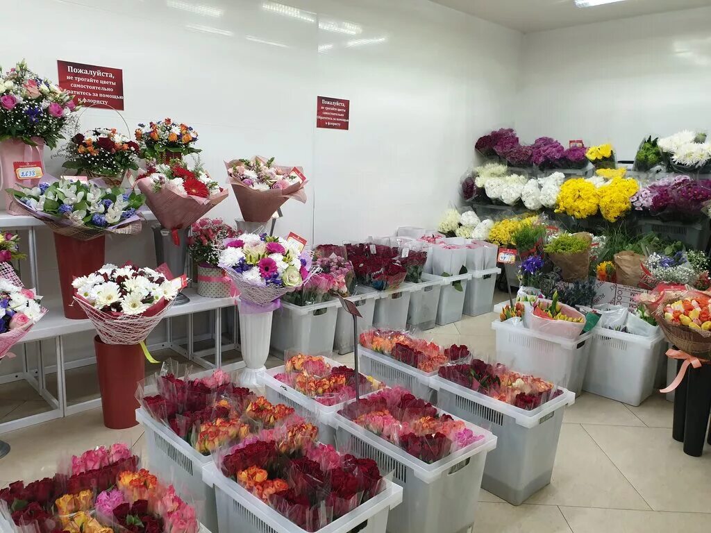 Первая цветочная база областная ул 5 фото Городская база цветов, flower shop, Mytischi, ulitsa Komarova, 2к3 - Yandex Maps