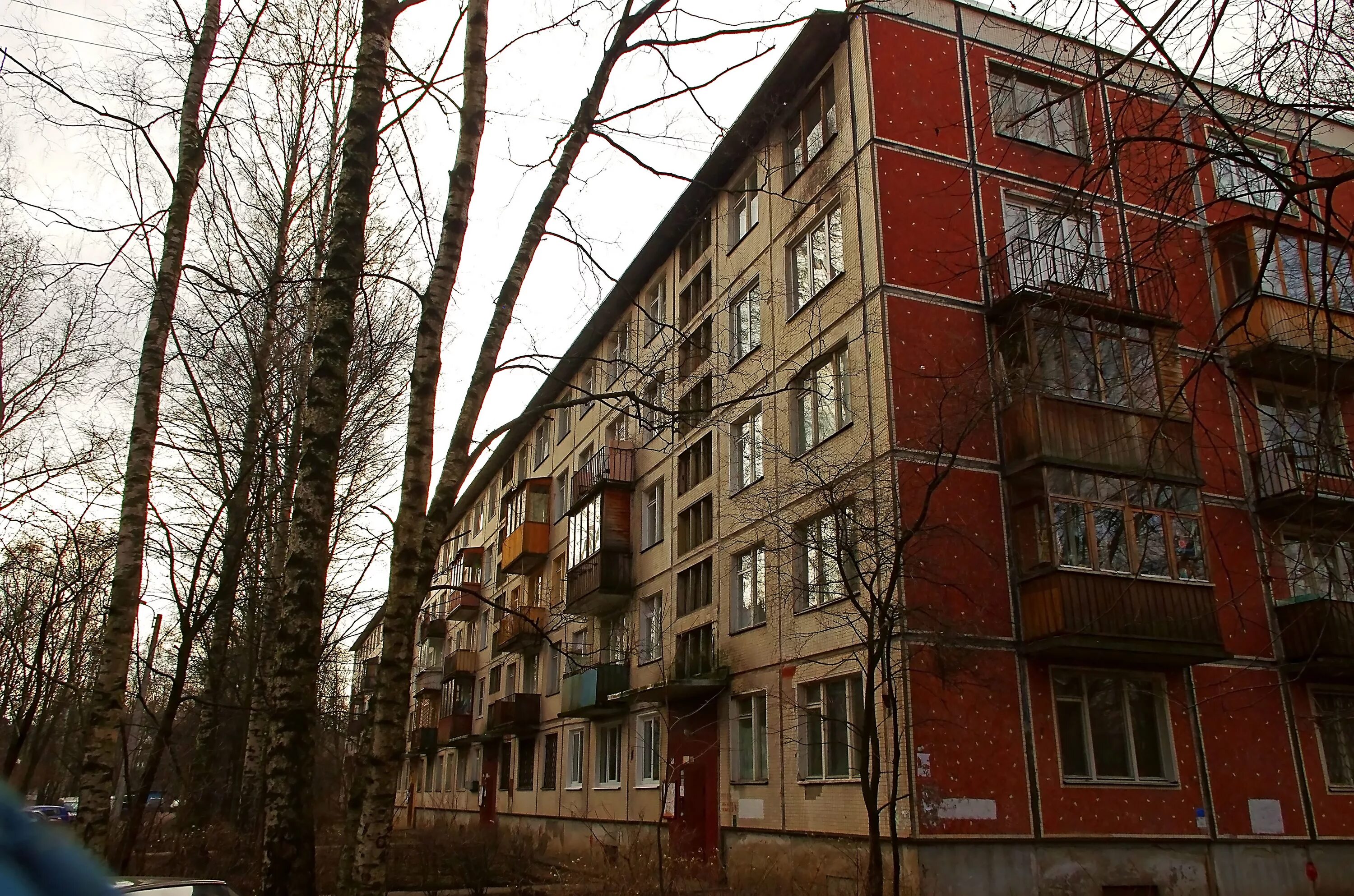 Первый квартал ул карпинского 18 фото Дом ул карпинского