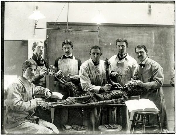 Первый медицинский фото Snapshots From the Days of Bare-Hands Anatomy - The New York Times