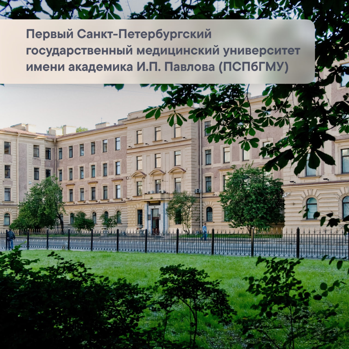 Первый медицинский университет санкт петербург фото ТОП-5 вузов Санкт-Петербурга PLEADA СПБ Новостройки Дзен