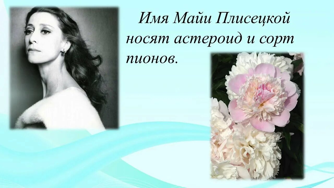 Пион майя плисецкая описание и фото Красота лебединого полета". - YouTube