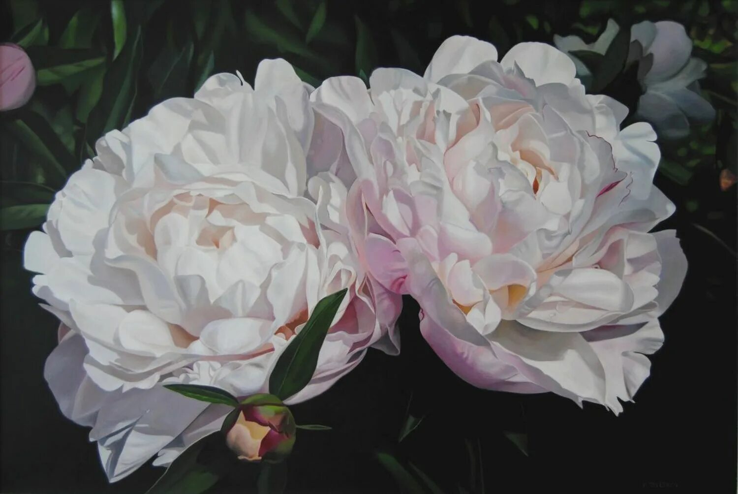 Пион ник шейлор фото Valeri Tsvetkov - Paintings for Sale Flower painting, Peony painting, Hyperreali